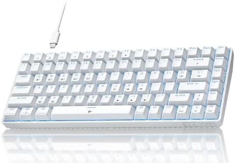 TMKB T84SE Gaming Keyboard, 75% Mechanical Gaming Keyboard with Linear Red Switch, Ice Blue LED Backlit, Detachable USB-C, Full Anti-Ghosting for Gaming/Typing/PC/Laptop/Win/Mac, US Layout, White
